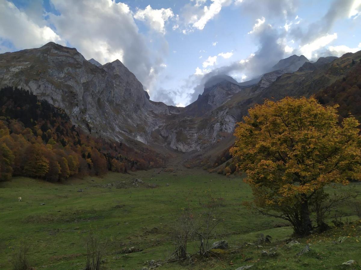 Co Dera Piusa Vielha Dış mekan fotoğraf